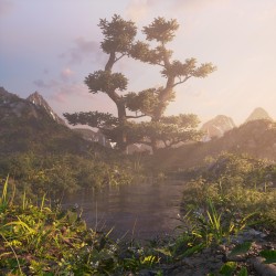 Daylight in the Swamp