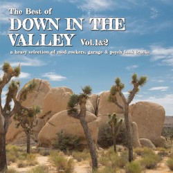 The Best of Down in the Valley 1 & 2 (A Heavy Selection of Mod-Rockers, Garage and Psych-Funk Tracks)