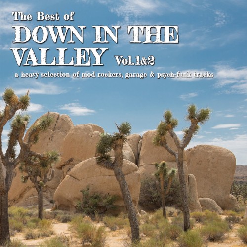 The Best of Down in the Valley 1 & 2 (A Heavy Selection of Mod-Rockers, Garage and Psych-Funk Tracks)