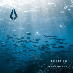 Purified Fragments XX