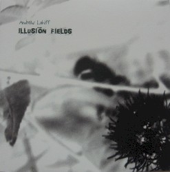 Illusion Fields