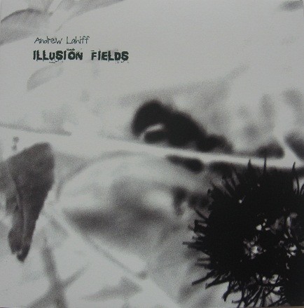 Illusion Fields