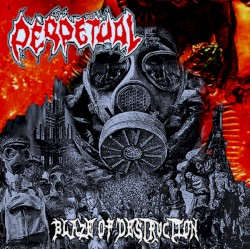 Blaze of Destruction
