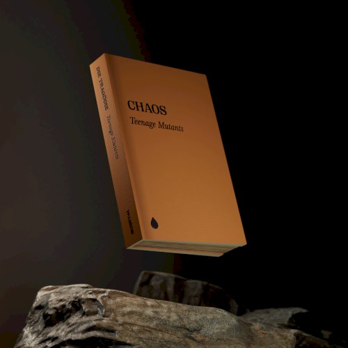 Chaos