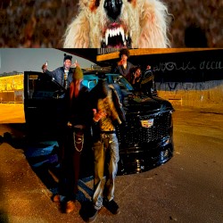 CANICHE