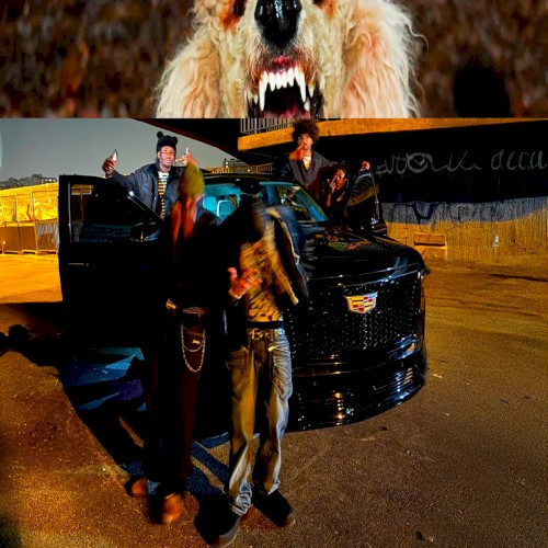 CANICHE