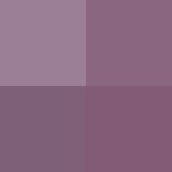 #!/for/bday