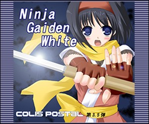 Ninja Gaiden White