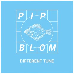 Different Tune