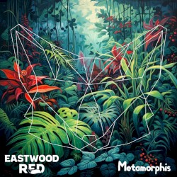 Metamorphis