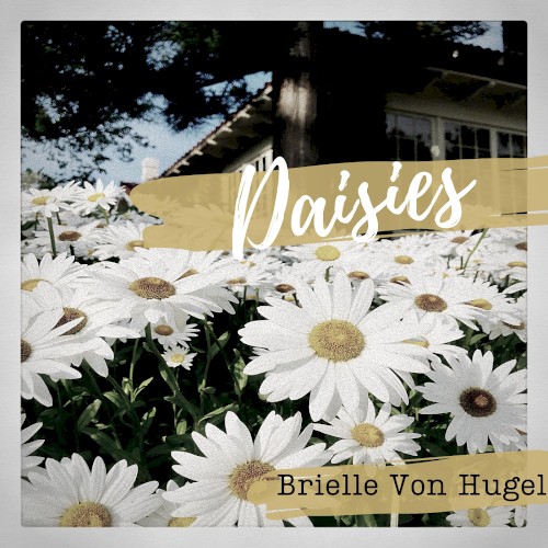 Daisies