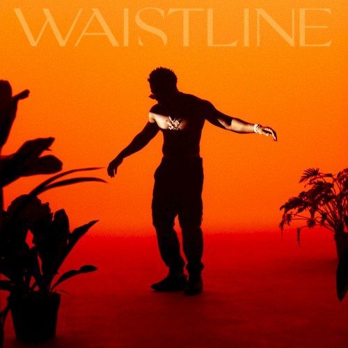 Waistline