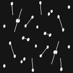 Dance of a Trillion Stars