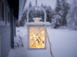 Wistful Winter