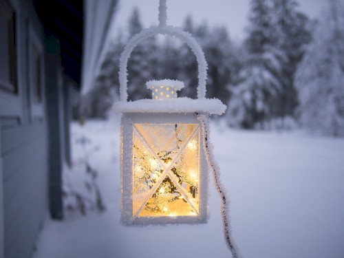 Wistful Winter