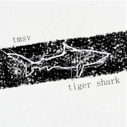 Tiger Shark
