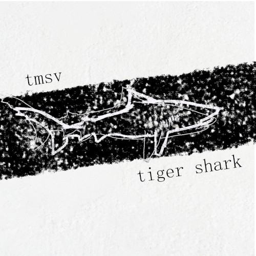Tiger Shark