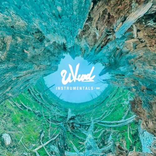 INSTRUMENTALS-∞