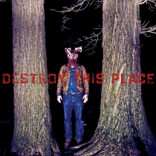 Destroy This Place