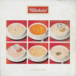 A Fly In The Soup