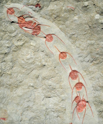 La légèreté (Ritournelle n°1)