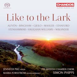 Like to the Lark