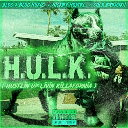 H.U.L.K.
