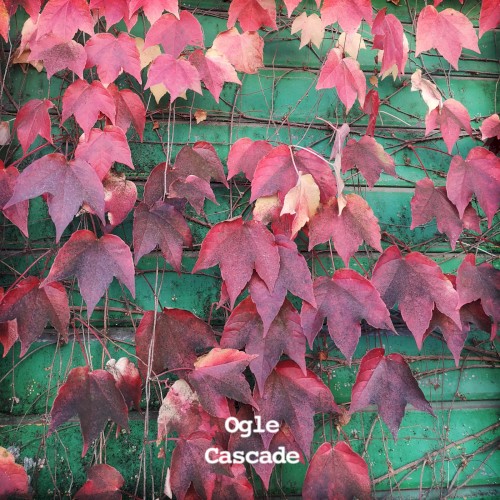 Cascade