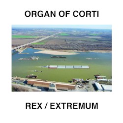 Rex / Extremum