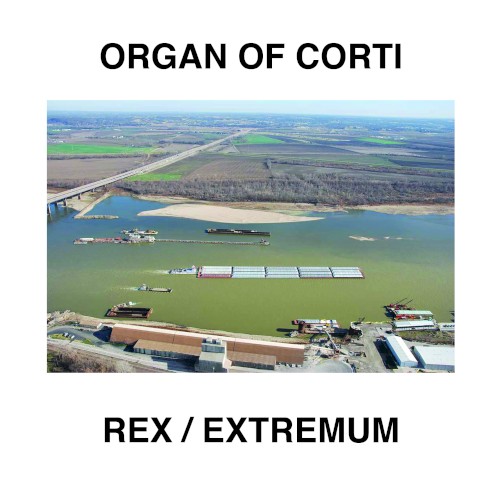 Rex / Extremum