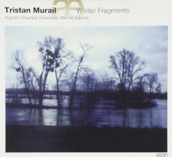 Winter Fragments