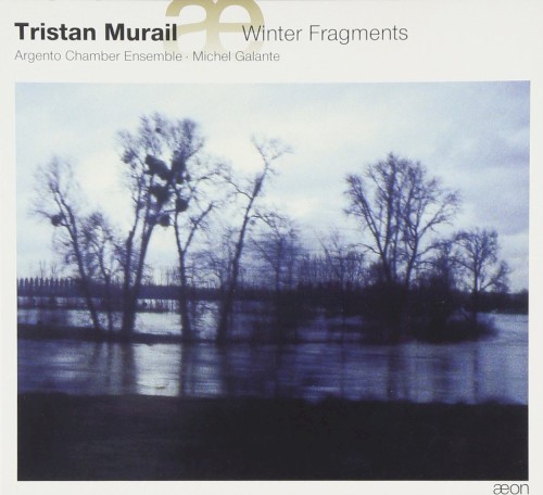 Winter Fragments