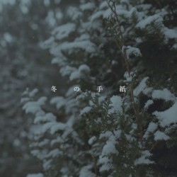 Winter Greetings