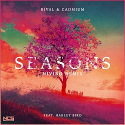 Seasons (NIVIRO remix)