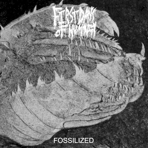Fossilized
