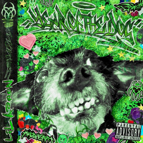 YEAR OF THE DOG