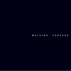Walking Through The Galaxy
