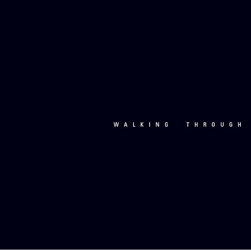 Walking Through The Galaxy