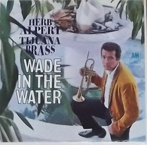 Wade in the Water