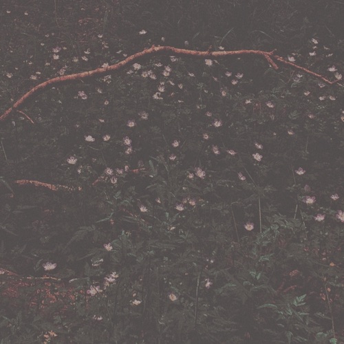 Holding (Remaster) - Single
