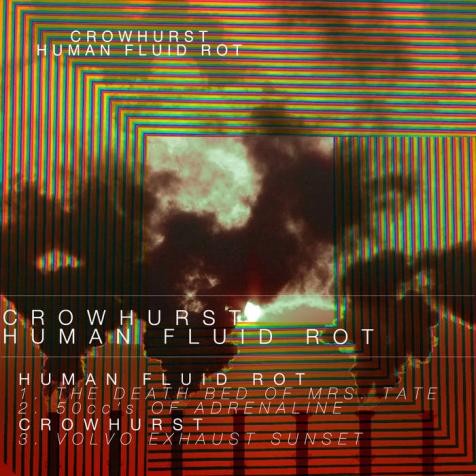 Human Fluid Rot / Crowhurst