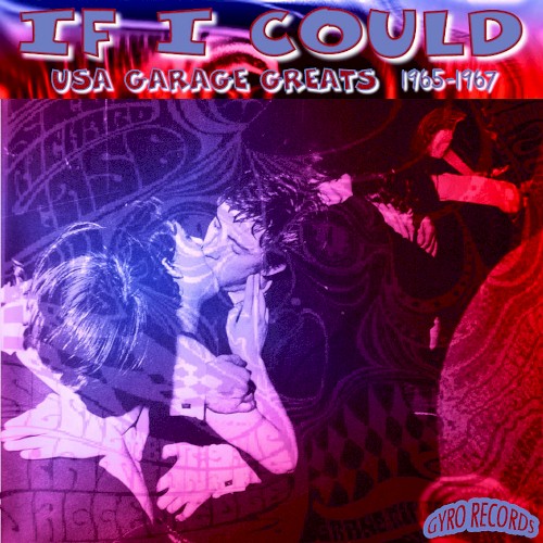 USA Garage Greats 1965-1967: Vol. 98: If I Could