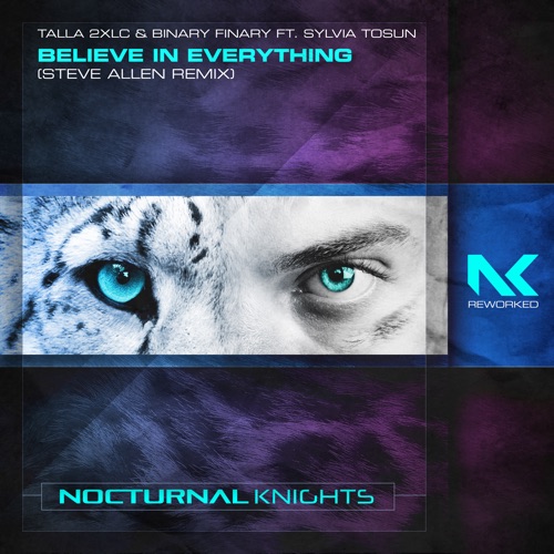 Believe in Everything (Steve Allen Remix)