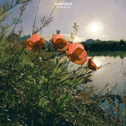 Amidst