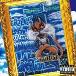 South Central Funktion