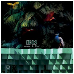 Ibis