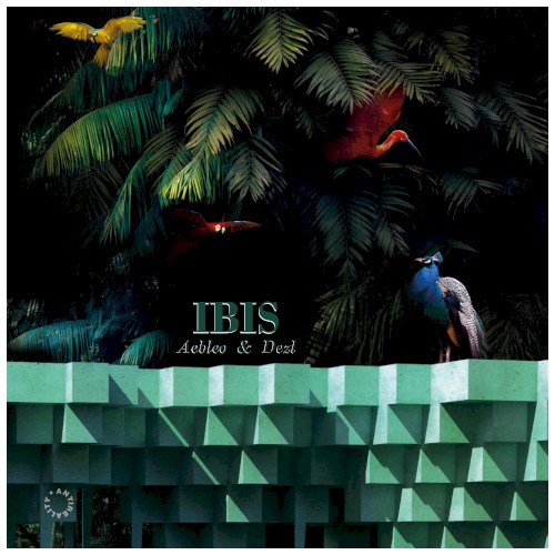 Ibis