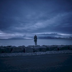 We Are the Wind