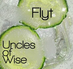 Flyt