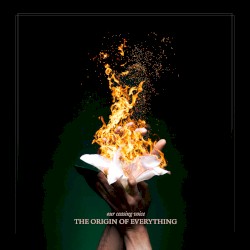 The Origin of Everything